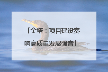 金塔：项目建设奏响高质量发展强音